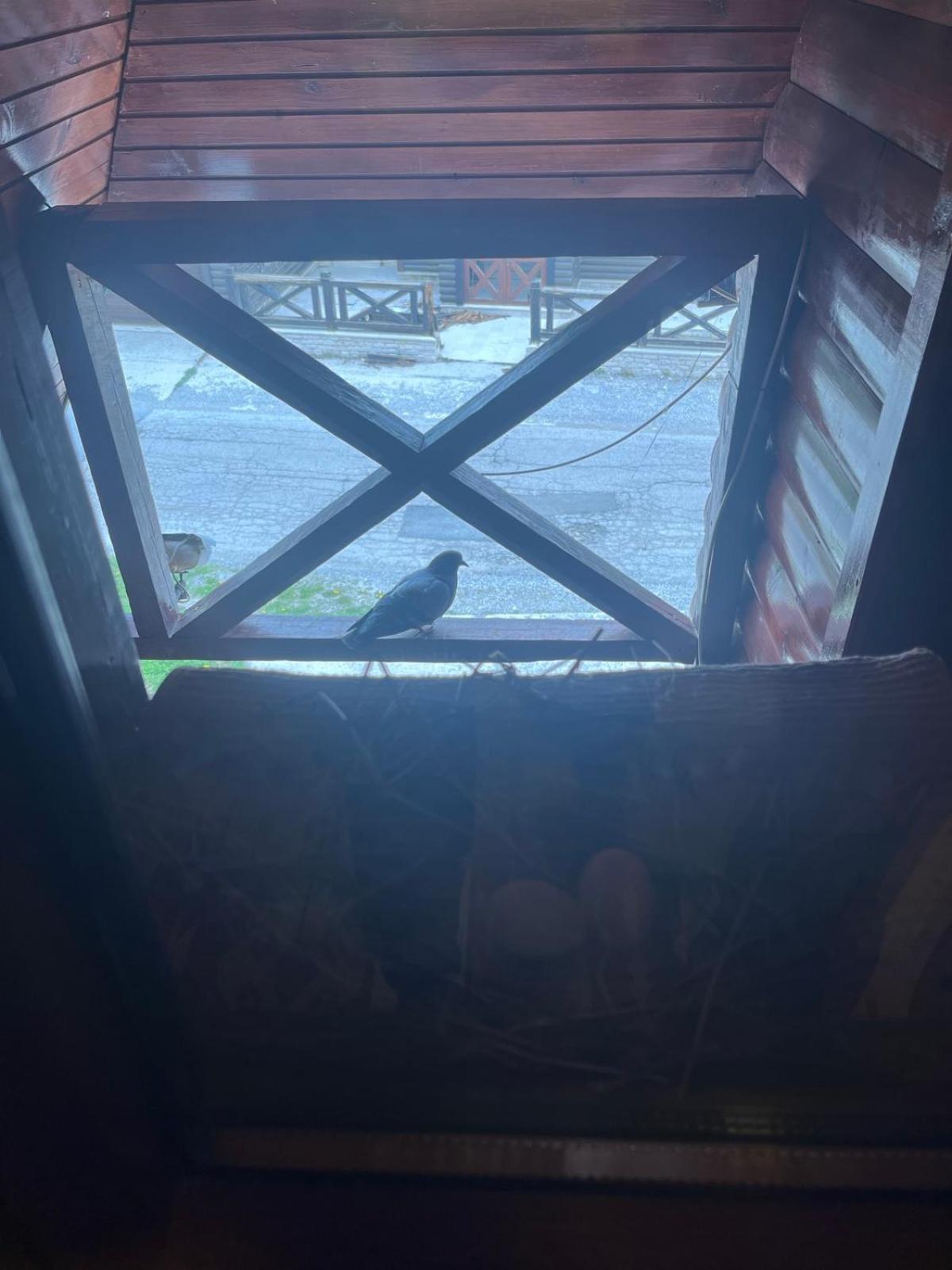 Apartmani "Matija" Zabljak  Luaran gambar